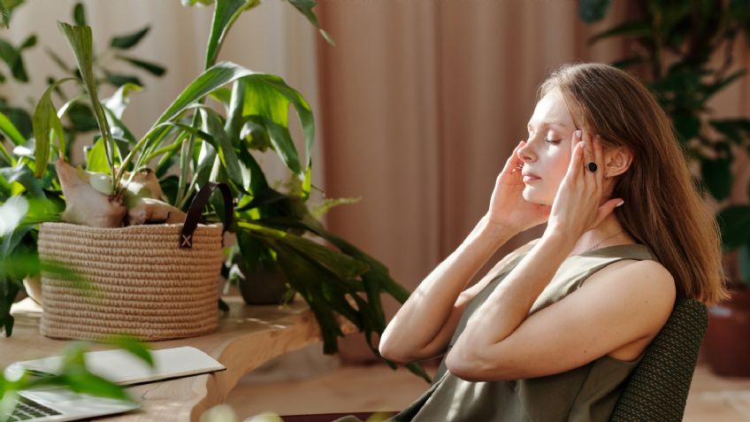 ¡Olvídate del estrés!; estas son las propiedades RELAJANTES del aceite de menta