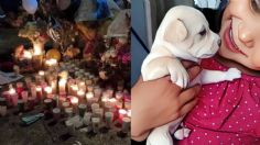 Querétaro llora a Victoria Guadalupe: Con flores, juguetes y oraciones realizan ofrenda a la pequeña asesinada