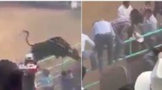 Michoacán: Así fue el trágico momento en que un toro "voló" hacia el público en un jaripeo | VIDEO