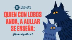 Frase Mexicana: "Quien con lobos anda, a aullar se enseña", descubre su origen y qué significa