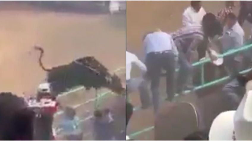 Michoacán: Así fue el trágico momento en que un toro "voló" hacia el público en un jaripeo | VIDEO