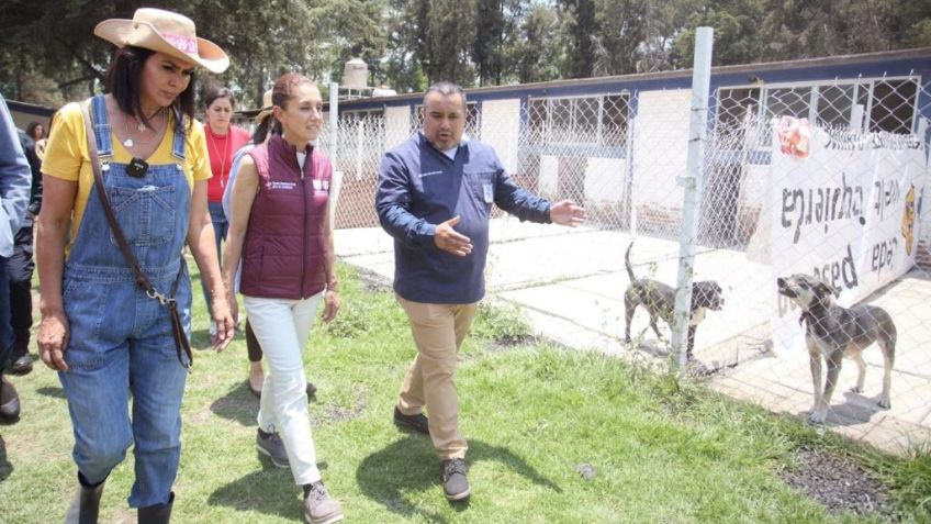 Claudia Sheinbaum visita instalaciones de la Brigada de Vigilancia Animal de la SSC