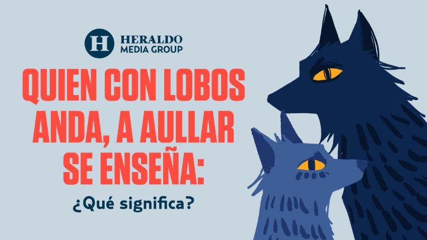 Frase Mexicana: "Quien con lobos anda, a aullar se enseña", descubre su origen y qué significa