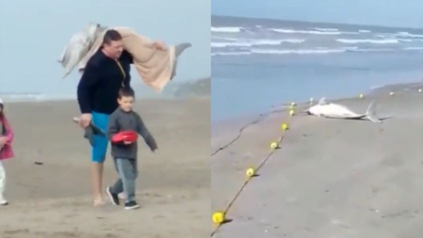 Hombre pesca un delfín en Argentina y provoca indignación en redes sociales | VIDEO