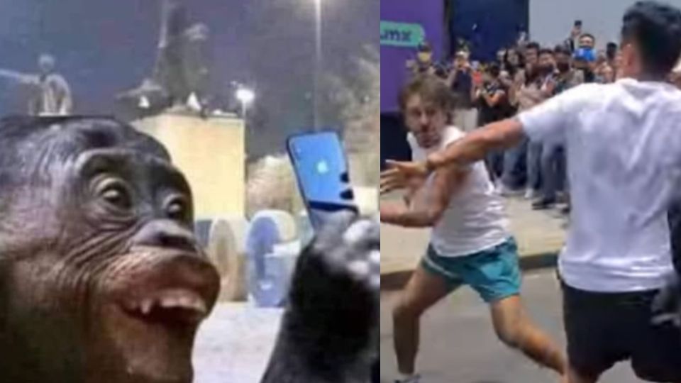 Luego de difundirse, el video se volvió viral y los memes comenzaron a aparecer. FOTO: Especial