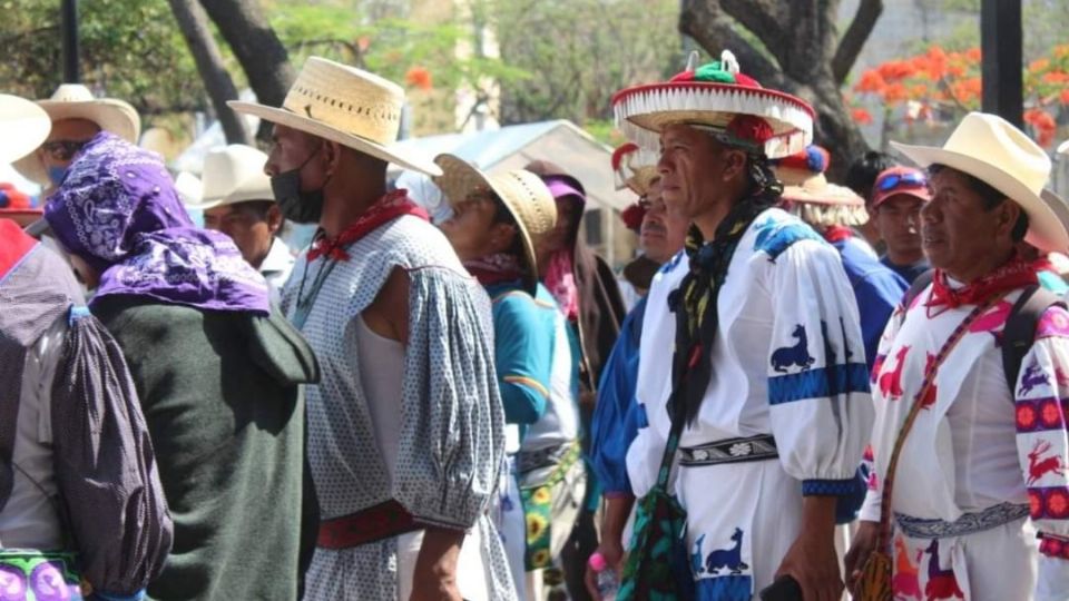 Actualmente las hectáreas están en posesión de ganaderos