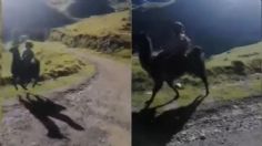 Niño se hace viral por ir a su escuela montando una llama a toda velocidad | VIDEO