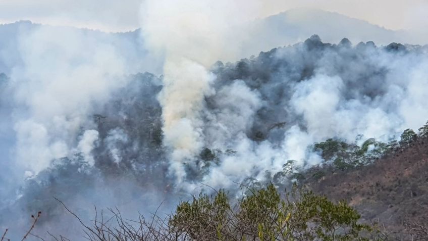 Su cadáver se calcinó sobre un árbol; conmociona a Oaxaca la muerte de un hombre