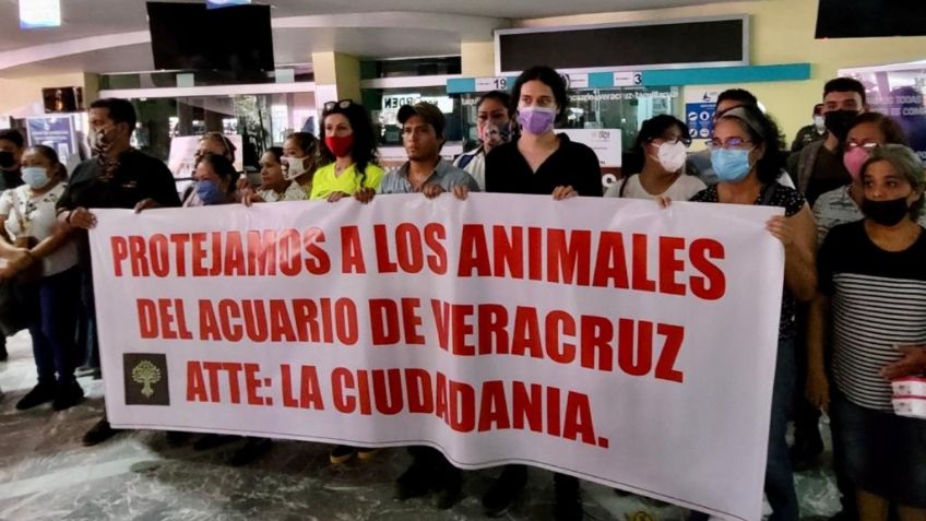 Trabajadores temen por bienestar de especies en Acuario de Veracruz