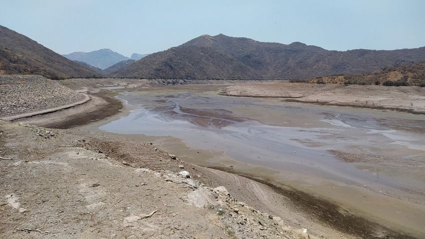 Miles de mojarras mueren en la presa Andrés Figueroa a causa de una terrible sequía en Guerrero