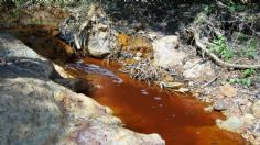 Fideicomiso Río Sonora no alcanza para cubrir daños de Grupo México