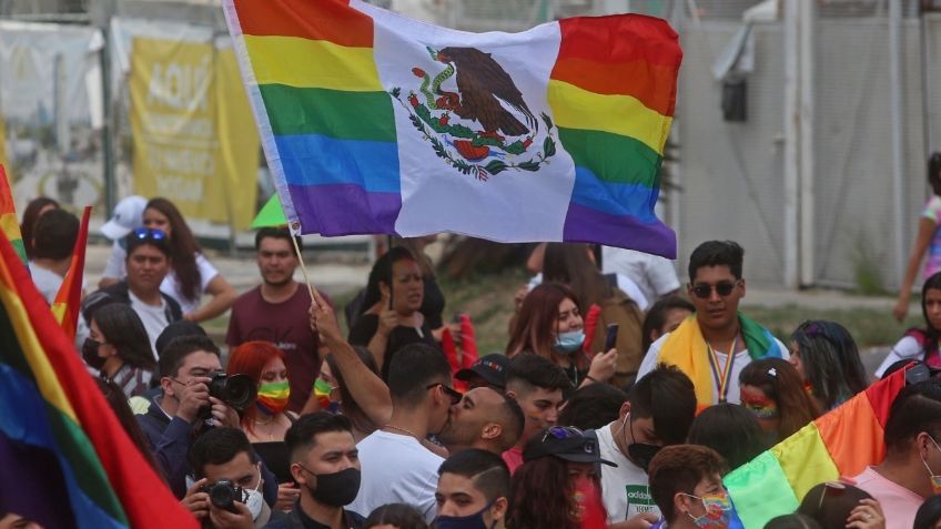 Diputado de Tamaulipas pide a parejas gays adoptar perros y no niños