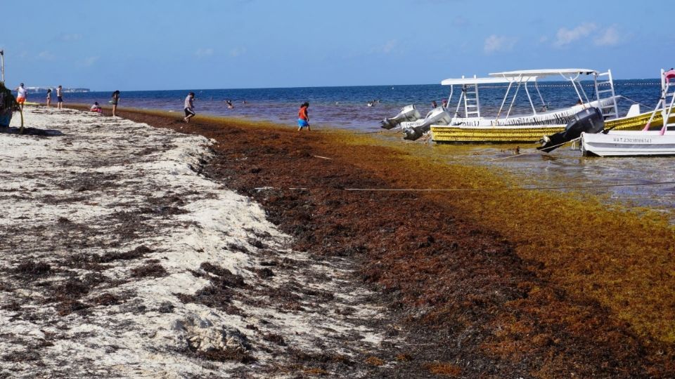 Habitantes de Mahahual bloquean carretera para exigir atención urgente al sargazo