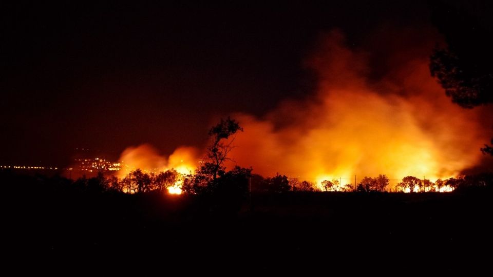 Incendios forestales en Tamaulipas.