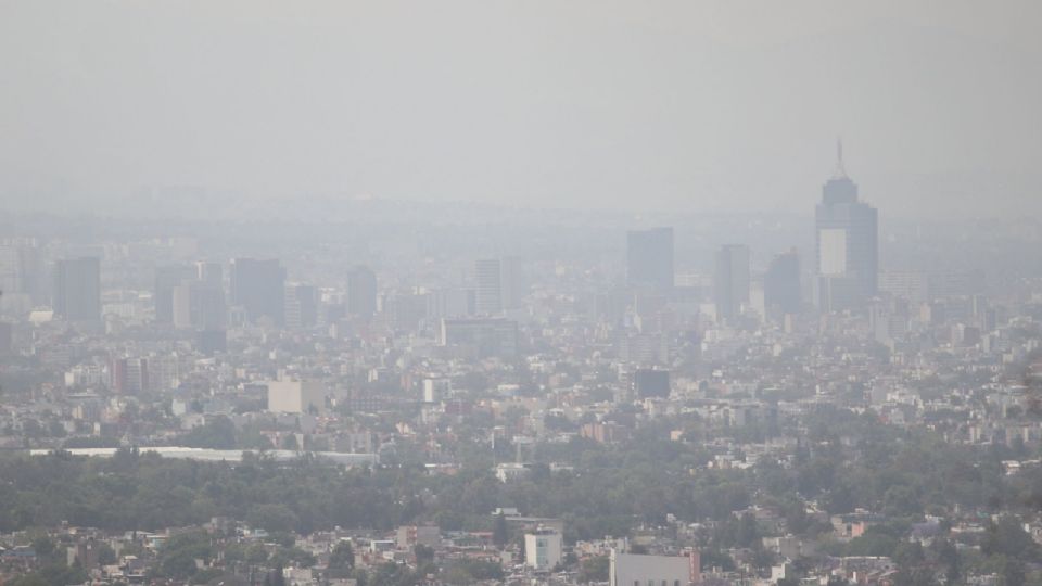 Debido a la contingencia se restringió la circulación de los autos