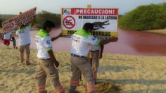 Peligra ecosistema: La Laguna Escobilla ahora es rosa