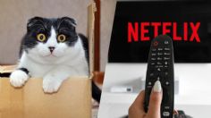 Mistery Box de Netflix: ¿Qué es y cómo funciona?