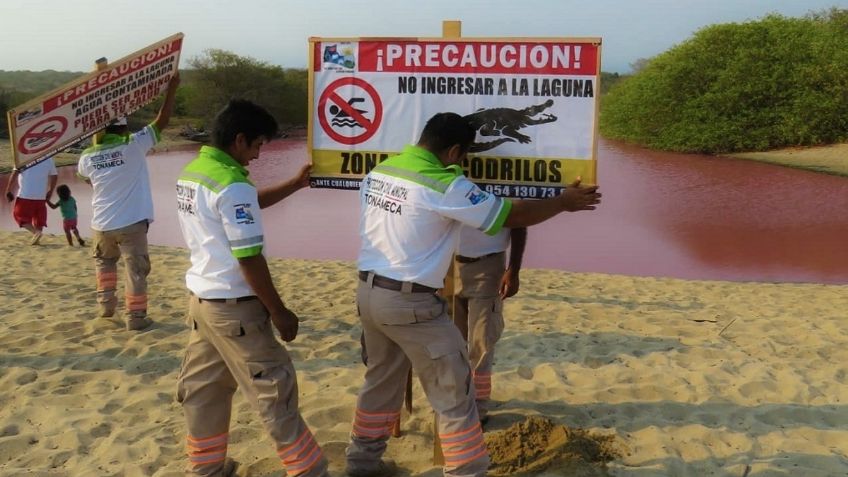 Peligra ecosistema: La Laguna Escobilla ahora es rosa