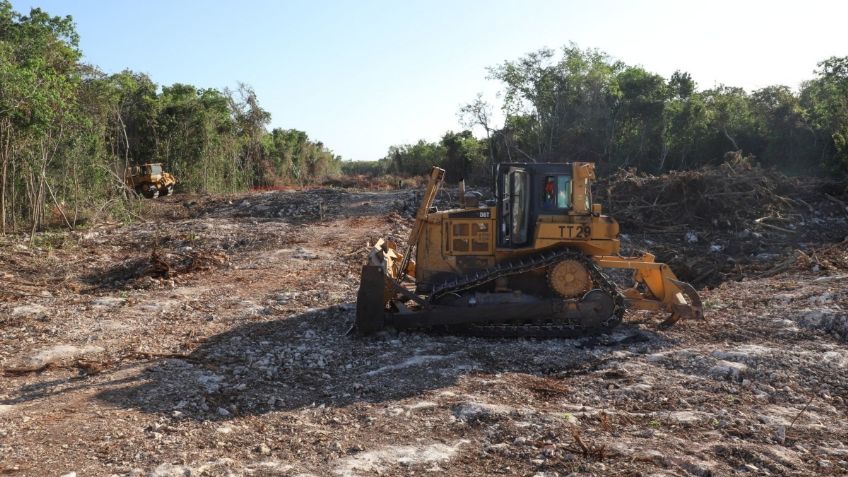 Confiamos que la corte suspenda definitivamente las obras del tramo 5 del Tren Maya: Sélvame del tren