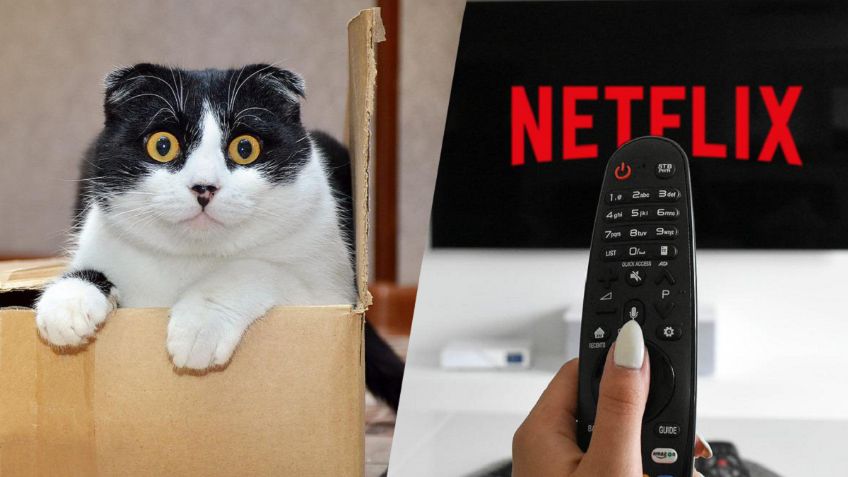 Mistery Box de Netflix: ¿Qué es y cómo funciona?