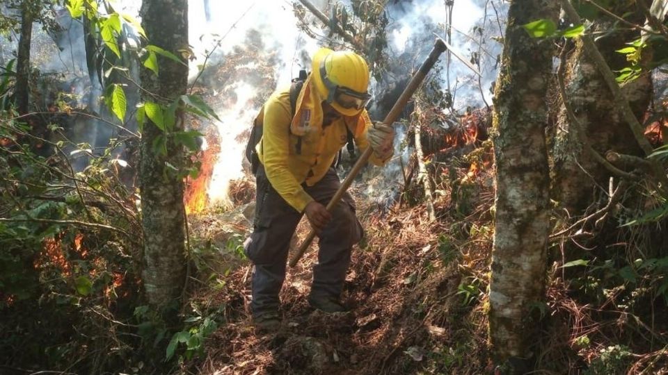 PC estatal mencionó que las brigadas están preparadas para la atención inmediata y oportuna de incendios