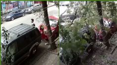 VIDEO: Cae un árbol en CDMX; jóvenes se salvan de ser aplastados