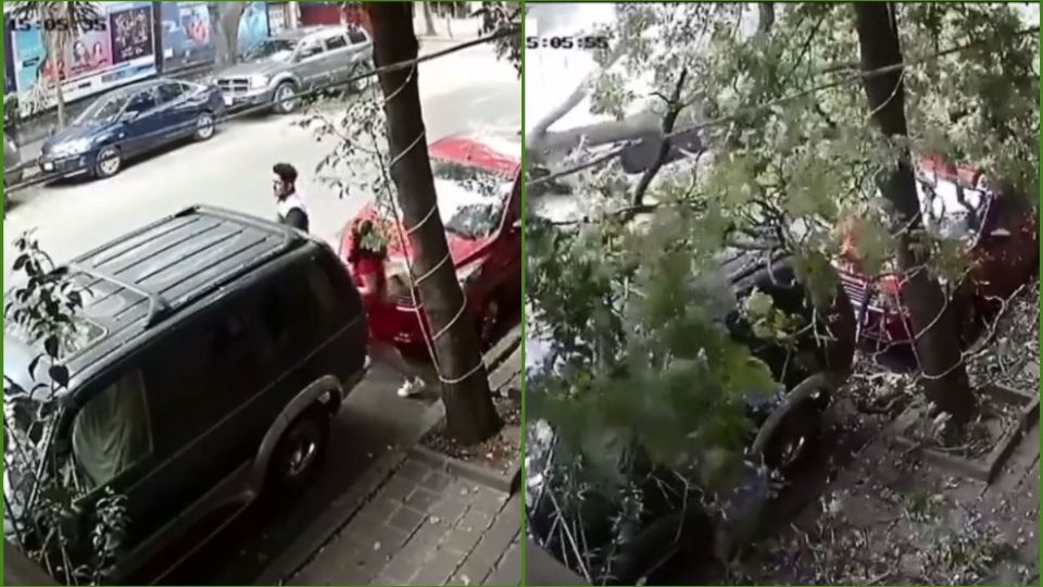 El árbol cayó en el mismo sitio en el que momentos antes estaban los jóvenes