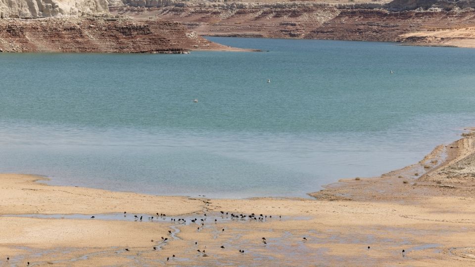 El lago Powell alcanzó niveles históricos bajos, cuando el río Colorado es catalogado como el más amenazado de EU