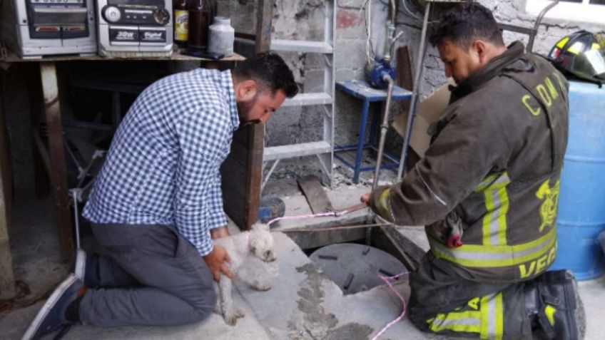 ¡Héroes! Bomberos salvan la vida de un perrito que había caído a una cisterna