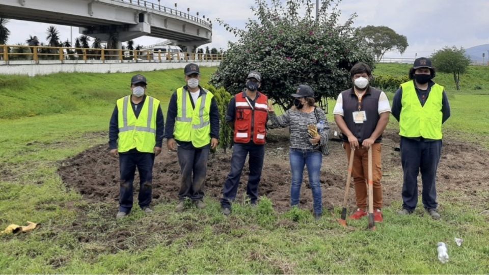 Grupo Walworth desarrolla sistema de protección al Medio Ambiente