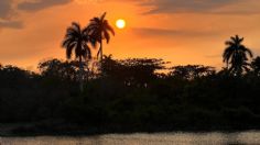 ¡Un paraíso! Conoce la hermosa hacienda agroecológica de Carlos Milán | FOTOS