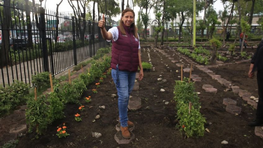 Venustiano Carranza colocará circuitos polinizadores y huertos urbanos para proteger medio ambiente y ayudar a la economía familiar