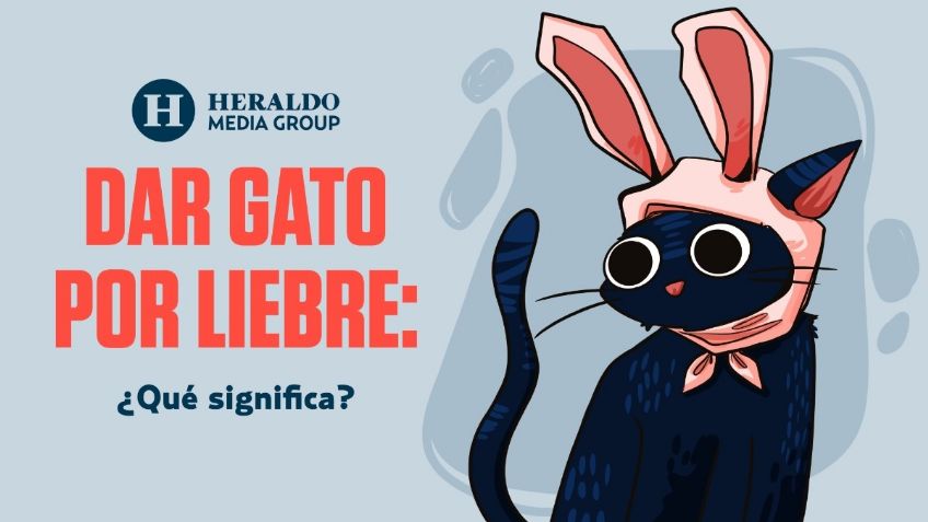 Frase Mexicana: "Dar gato por liebre", descubre el origen y significado de la expresión