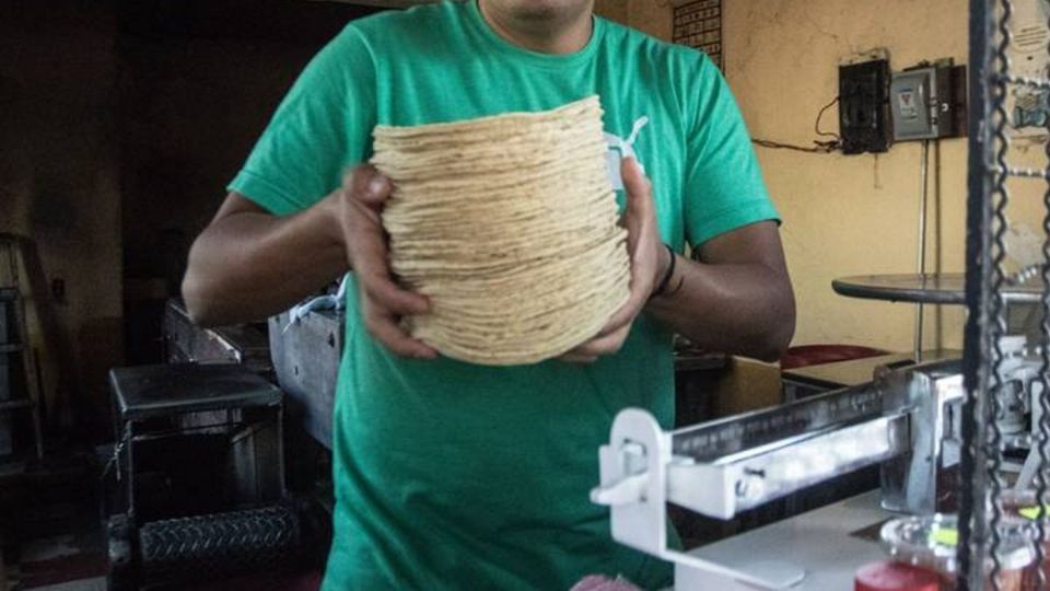 El precio de la tortilla por kilo oscila entre los 14 y los 27 pesos en el país.