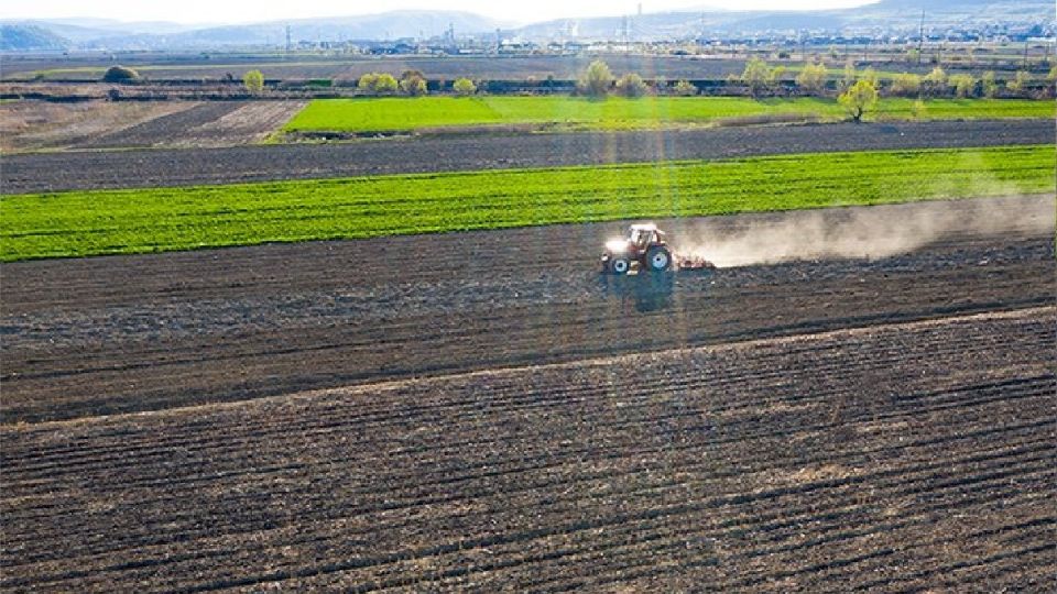 Las importaciones agropecuarias y agroindustriales del país totalizaron 21 mil 198 millones de dólares en los primeros seis meses del año