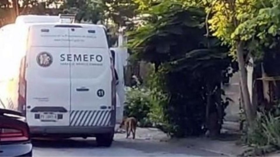 El hecho ocurrió en una vivienda ubicada en la colonia Vistas del Río, en el municipio de Juárez