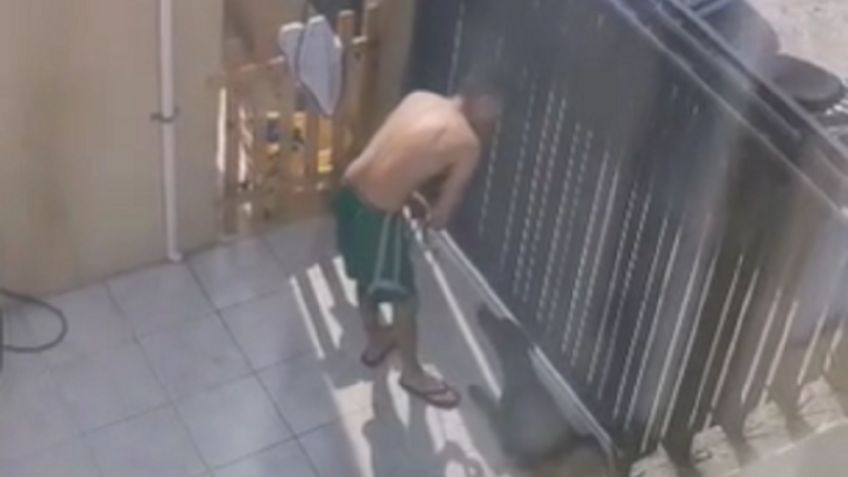 Detienen a hombre por patear salvajemente a su perro en Tampico | VIDEO