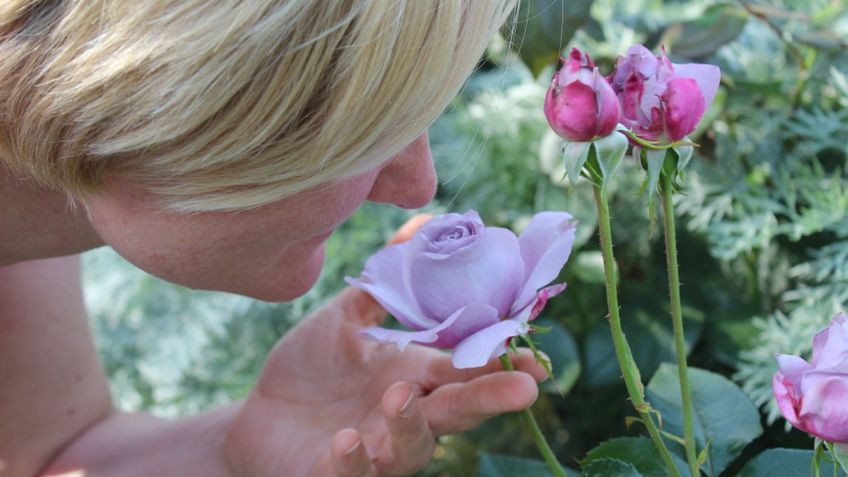 Este es el aroma más agradable del mundo, según la ciencia