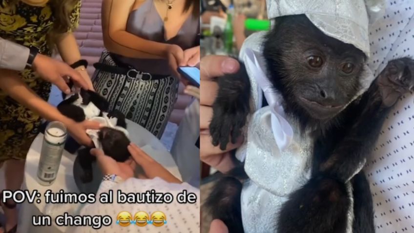 Bautizo de mono bebé en México enternece a TikTok | VIDEO