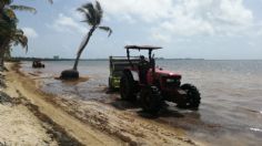 Alertan por aumento de sargazo en playas de México; prevén 63 mil toneladas