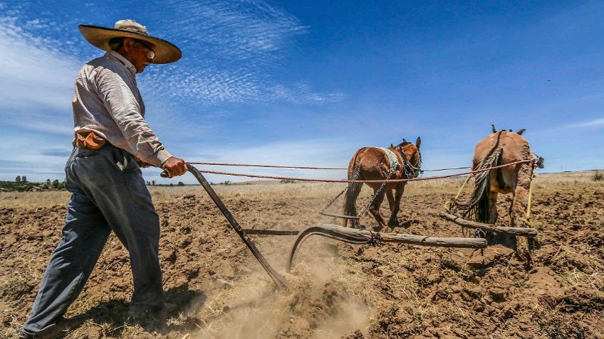 Por la guerra, ven potencial agroalimentario de México con Europa y Asia