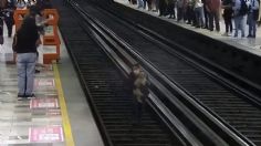 Metro CDMX: Rescatan a perrito que cayó a las vías en la estación Cuitláhuac | VIDEO