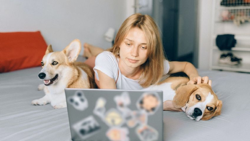 Terapias con perros, ideales para ayudar a adolescentes con anorexia y bulimia