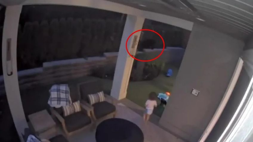 ¡Es un osito! Mujer salva a su bebé, quería abrazar un oso que invadió su casa | VIDEO