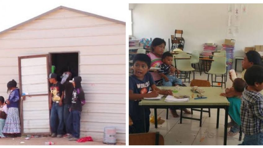 Hijos de jornaleros reciben clases en temporada de cosecha en Chihuahua