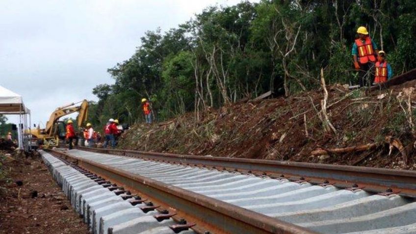 "Tenemos suspensión definitiva": así celebró "Sélvame", colectivo que apoya Eugenio Derbez, la detención del Tren Maya