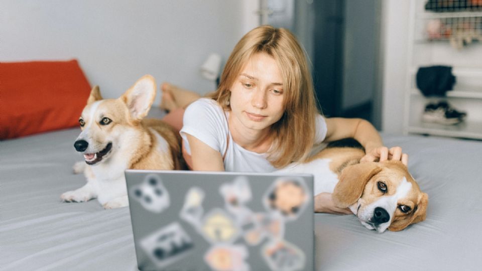 La presencia de los perros en las terapias puede ayudar a que los adolescentes mejoren su autoestima y autonomía.