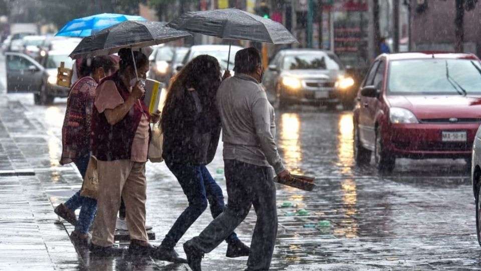 Protección Civil pide a la población tomar precauciones ante posible caída de árboles o encharcamientos