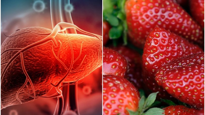 Vinculan brote de hepatitis con fresas cultivadas en México; esto sabemos