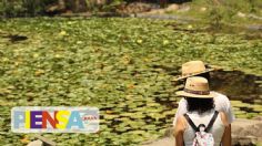 Visita estos hermosos jardines en Cuernavaca y conéctate con la naturaleza